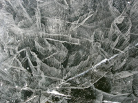 Bubbles frozen in ice